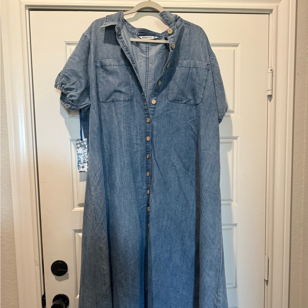 Denim Button-Down Dress